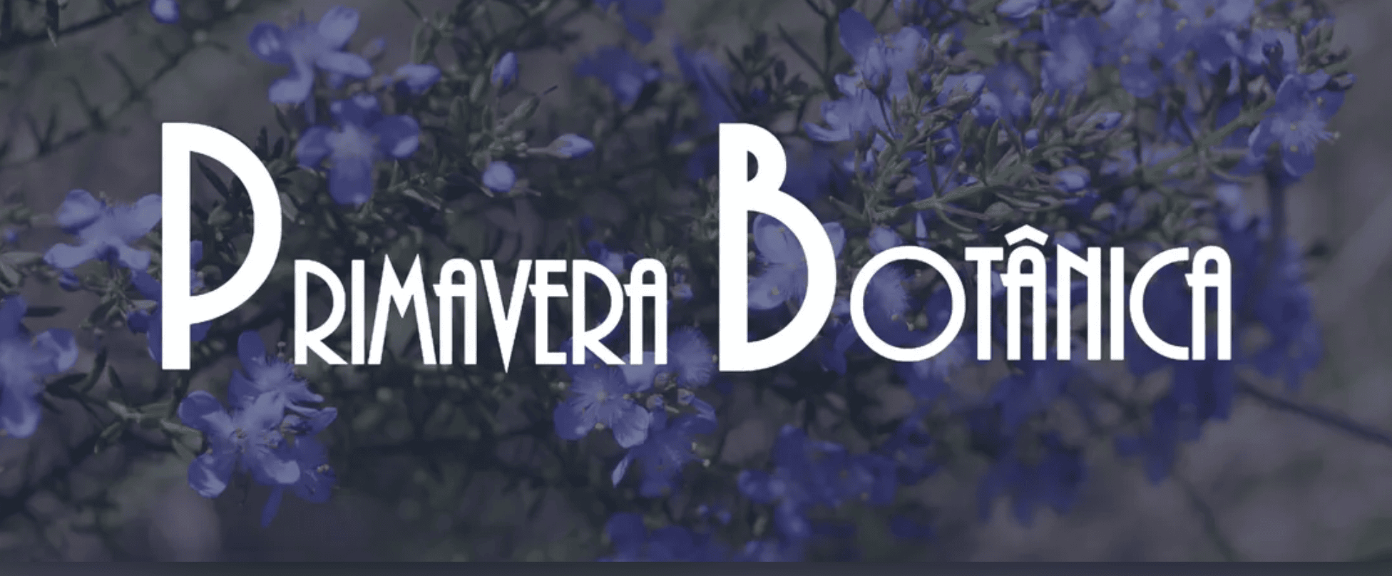 X Primavera Botânica reúne estudantes e pesquisadores em uma semana dedicada à história, à diversidade e ao futuro da Botânica
