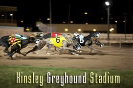 30.11.13 Airedale Lodge At The Dog track