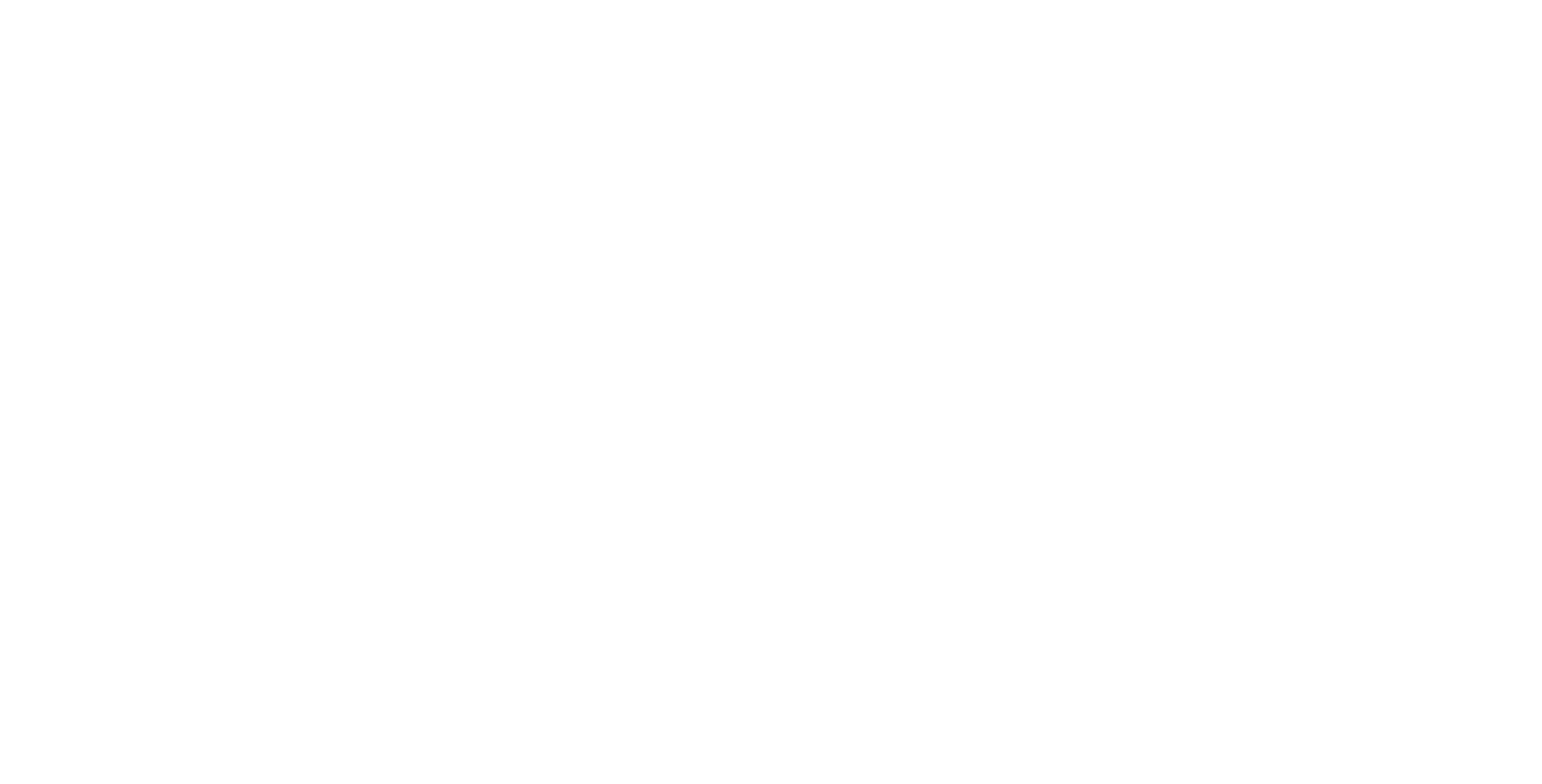 Aracely Flores