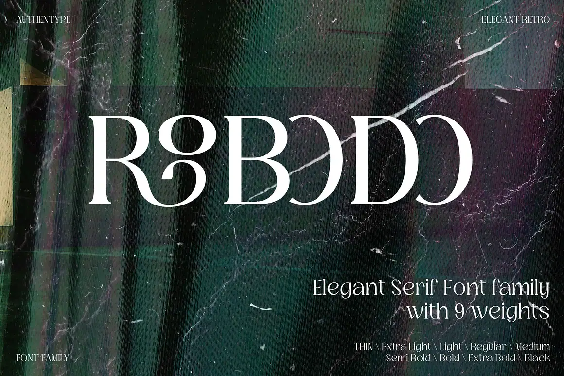 7 Best Modern Sleek Font for Clinical Vitamin Branding 2026 16 ROBODO SERIF FONT FAMILY