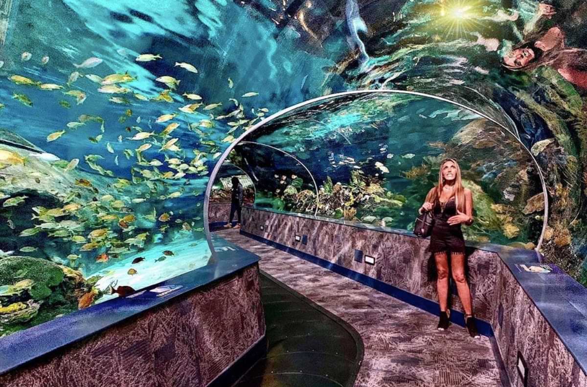 Attractions & Activities