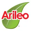 Arileo