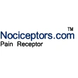 Nociceptors