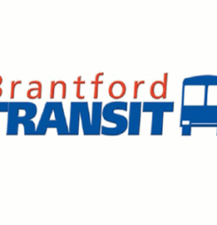 Why not take the transit