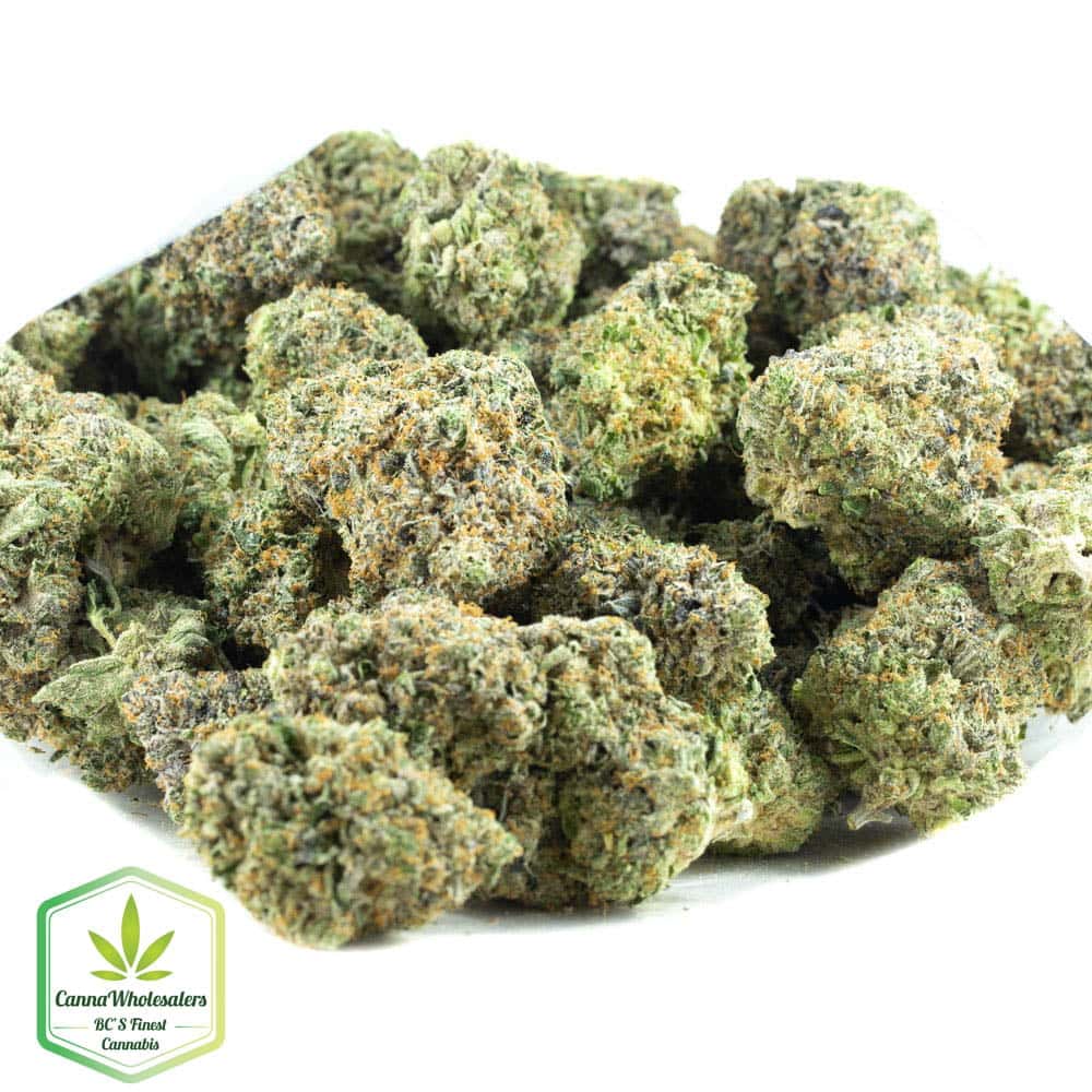 Buy Garlic Sherb Online Canna Wholesalers