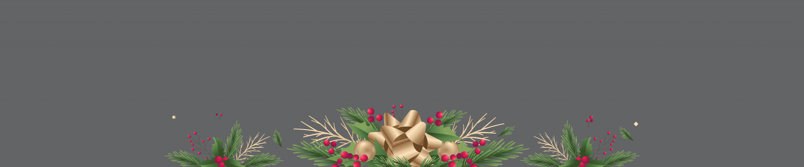 Home 1 ChristmasPromoHOMEBanner SmartSlider ChristmasPromo 1 copy scaled