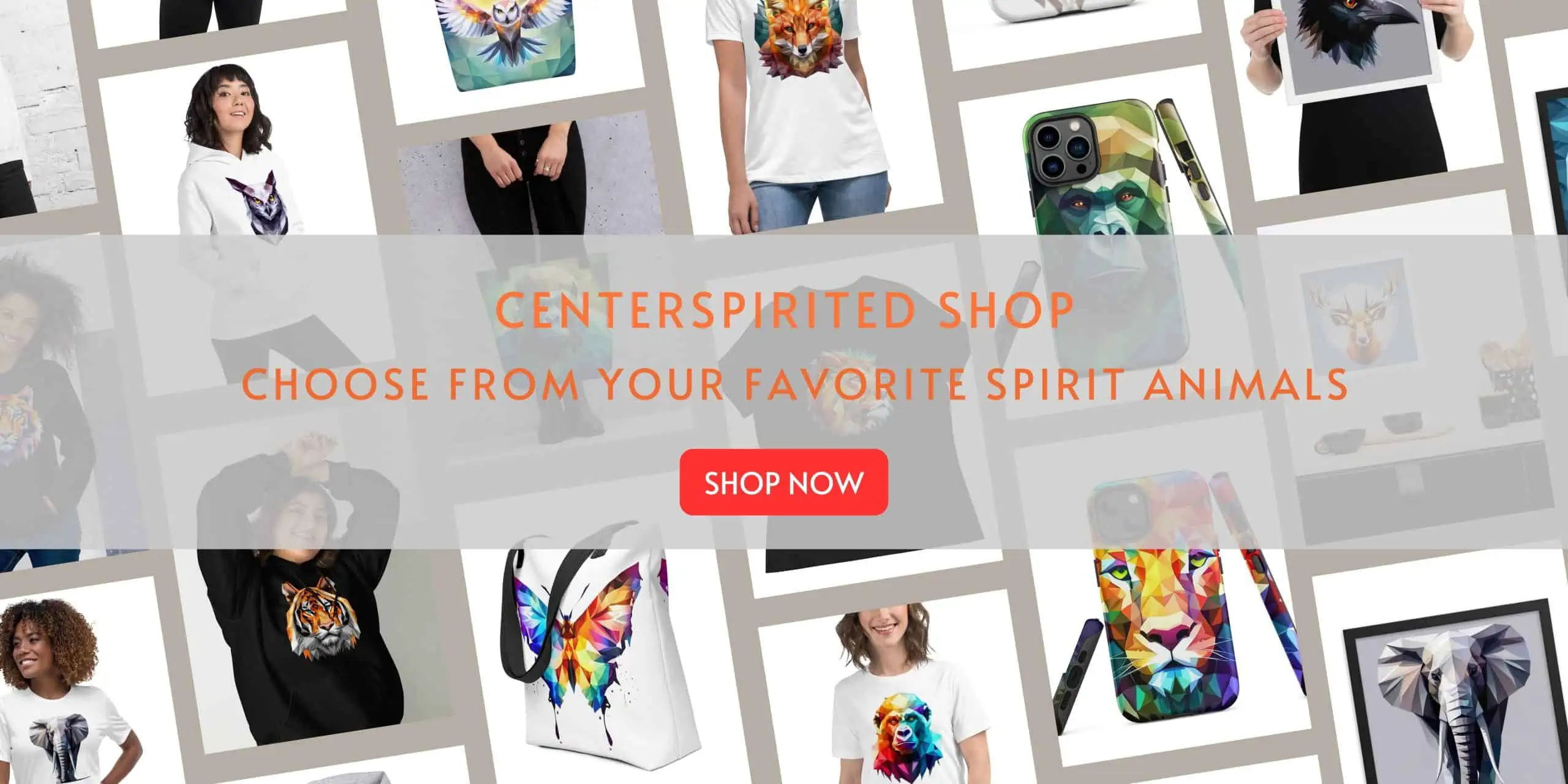 Centerspirited Banner 2 scaled