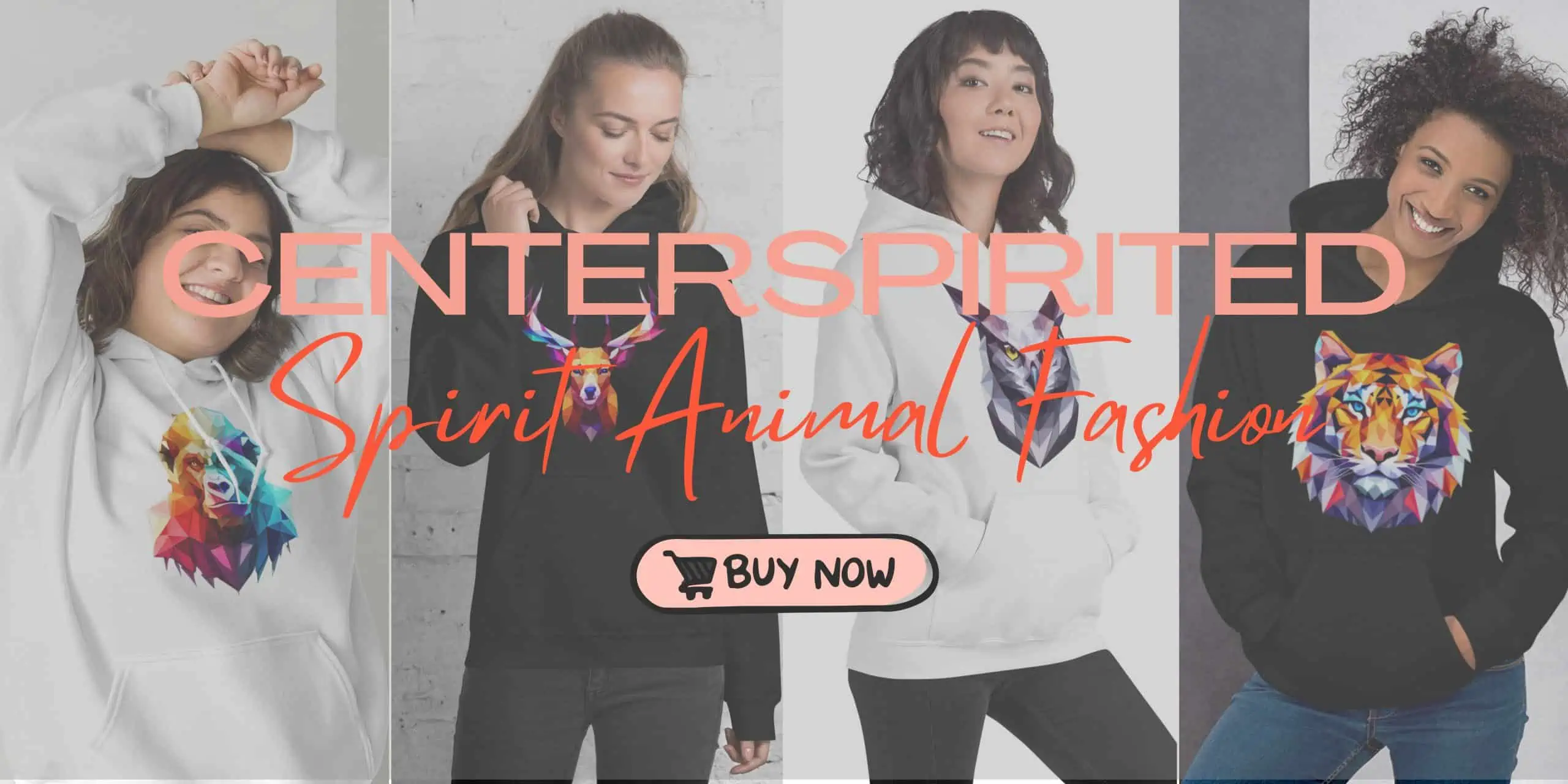 Centerspirited Banner 4 scaled