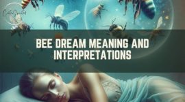 Bee Dream Meaning and Interpretations