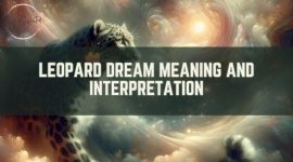 Leopard Dream Meaning and Interpretation