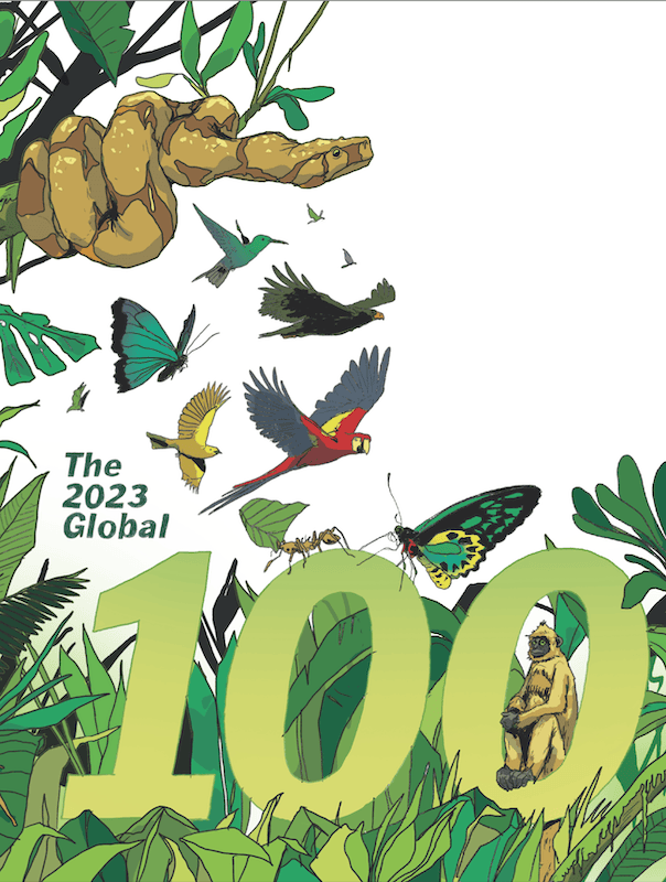 2023 Global 100