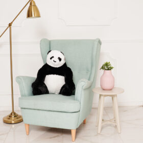 Panda Julius