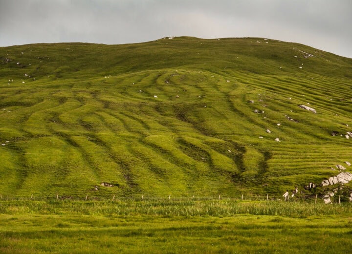 The Galson Estate: A Community Thriving on the Isle of Lewis