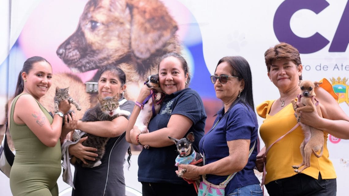 Inscriba a su ‘peludito’ en el 4.º Desfile Sampedrino de Perros y Gatos