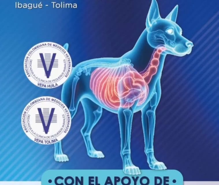 ¡La Ciudad Musical de Colombia se convierte en el epicentro de la gastroenterología veterinaria! ¡La Ciudad Musical de Colombia se convierte en el epicentro de la gastroenterología veterinaria!