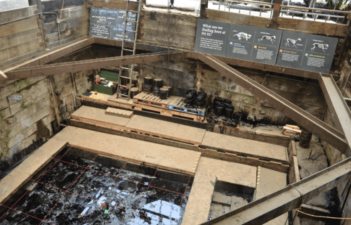 La Brea Tar Pits for FREE: The Smelliest Experience in Los Angeles – and we LOVED it!