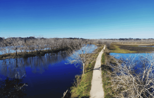 Best Road Trips from Houston to Reconnect with Nature