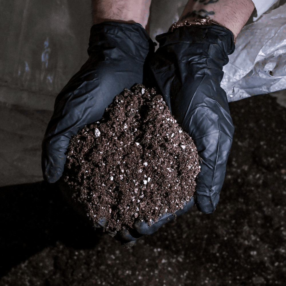 No-Till Living Soil