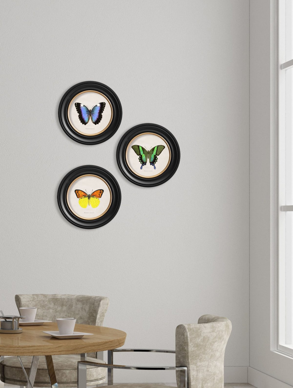 Tropical Butterflies - Round Frames