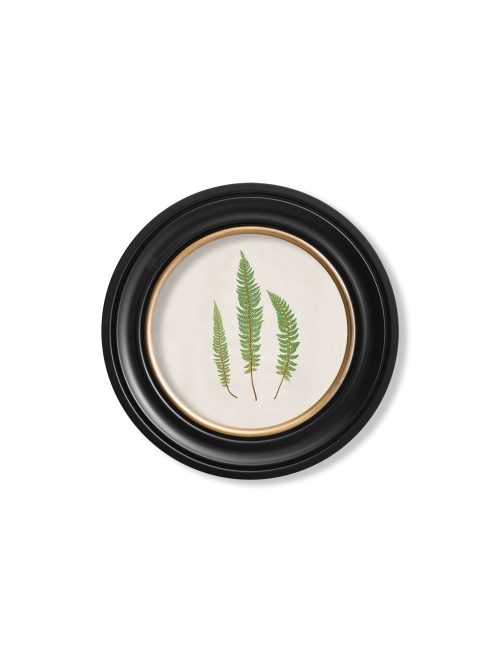 Common Prickly Fern - Round Frame