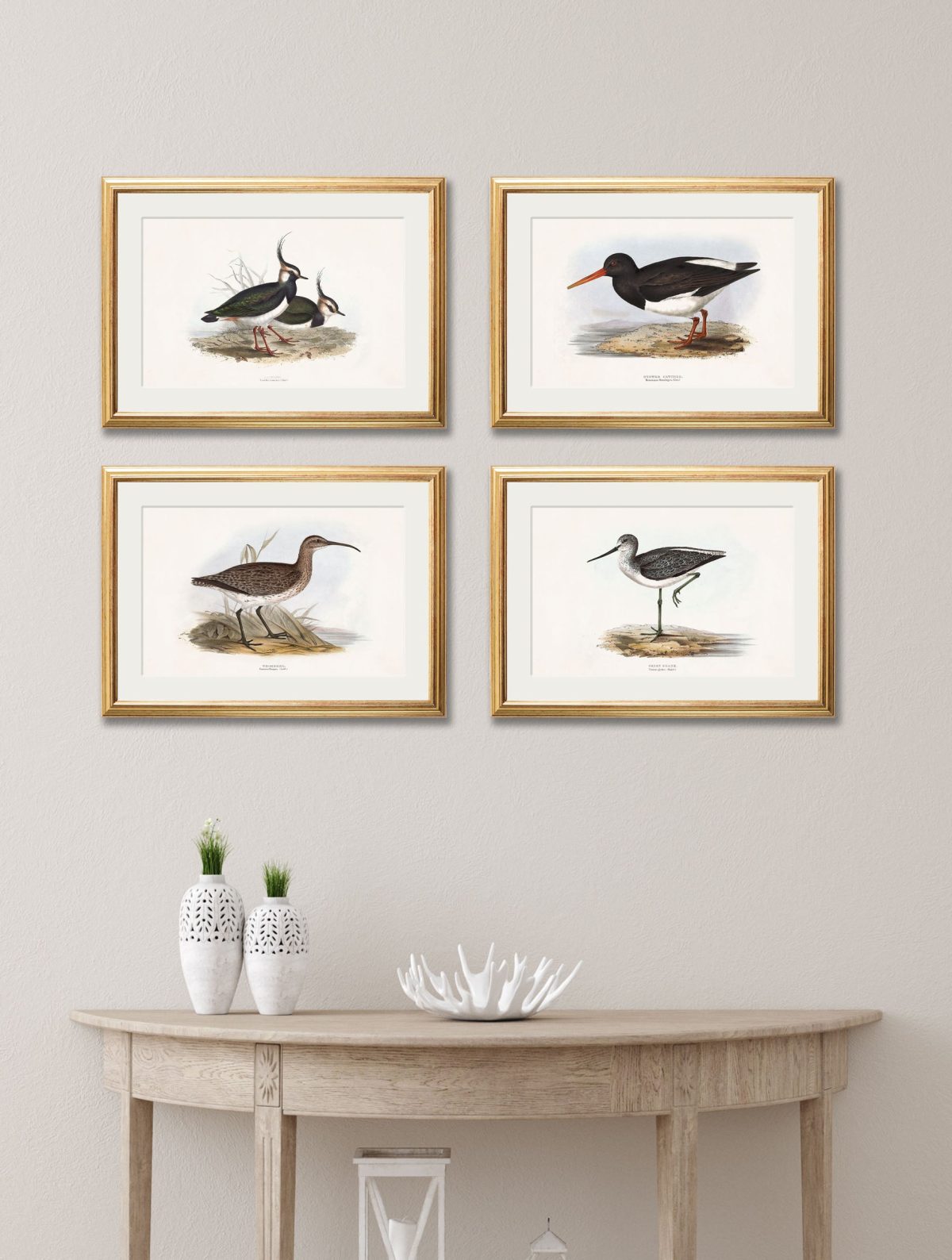 British Coastal Birds