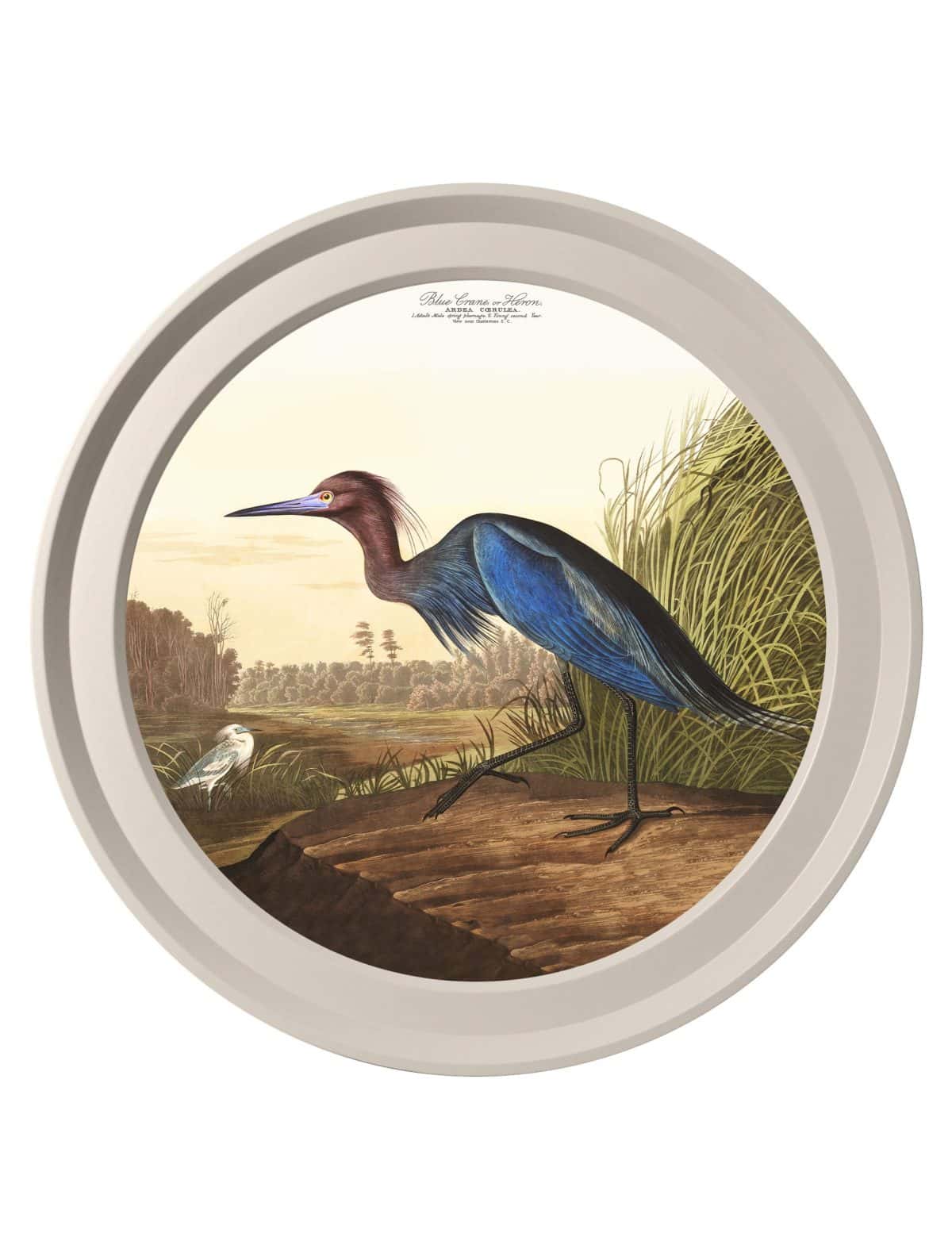 Audubon's Herons in Light Round Frames