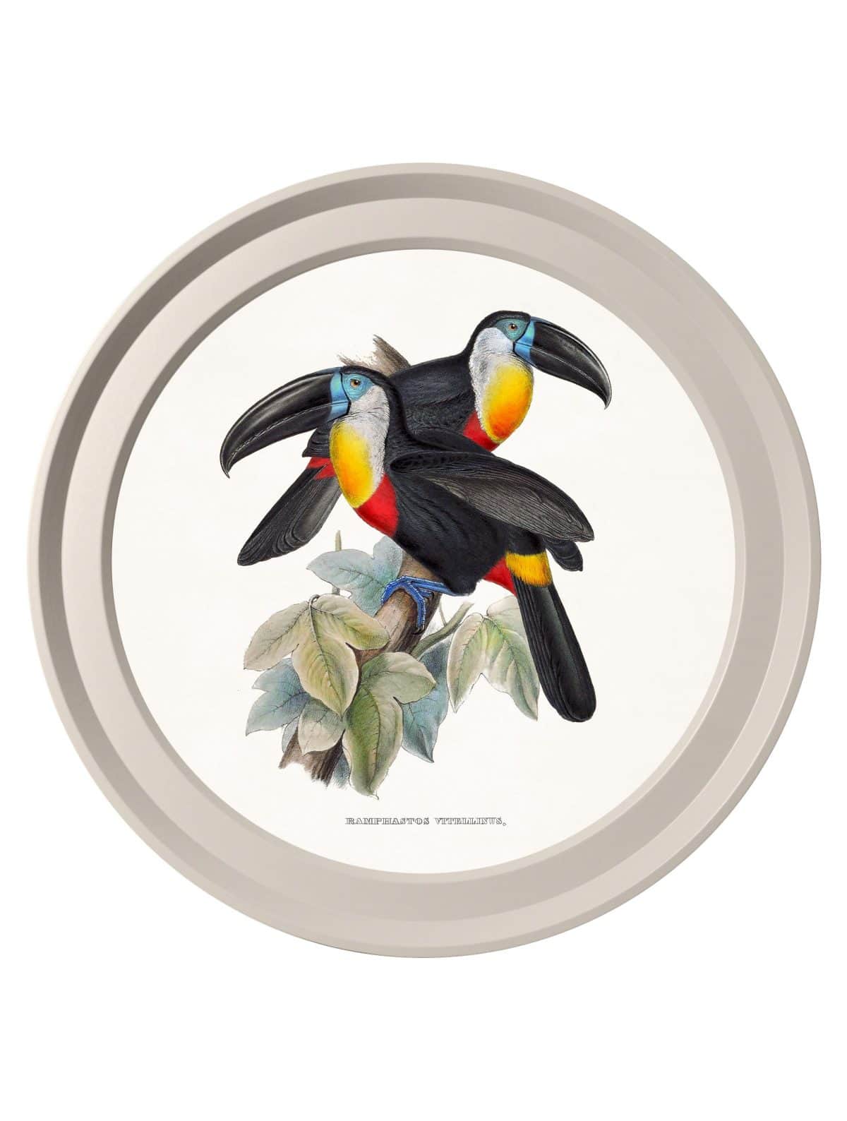 Toucans - Light Round Frames