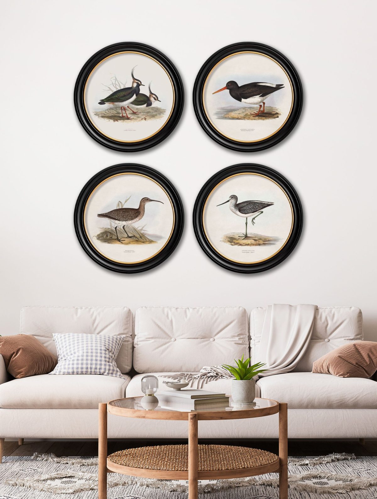 British Coastal Birds - Round