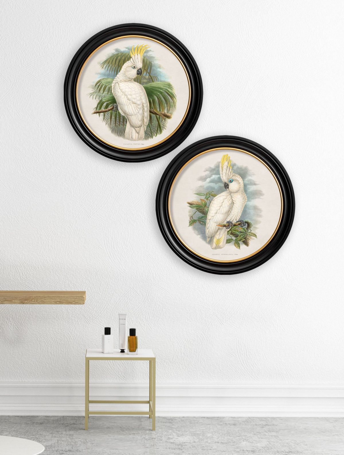 Cockatoos - Round Frames
