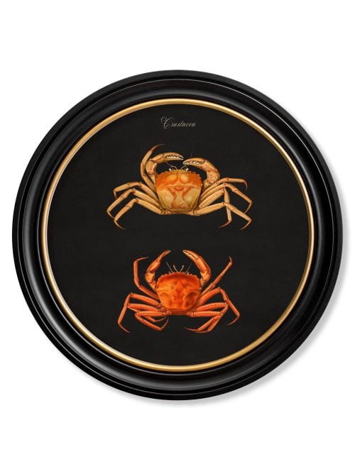 Marine Animals in Round Frames - Black