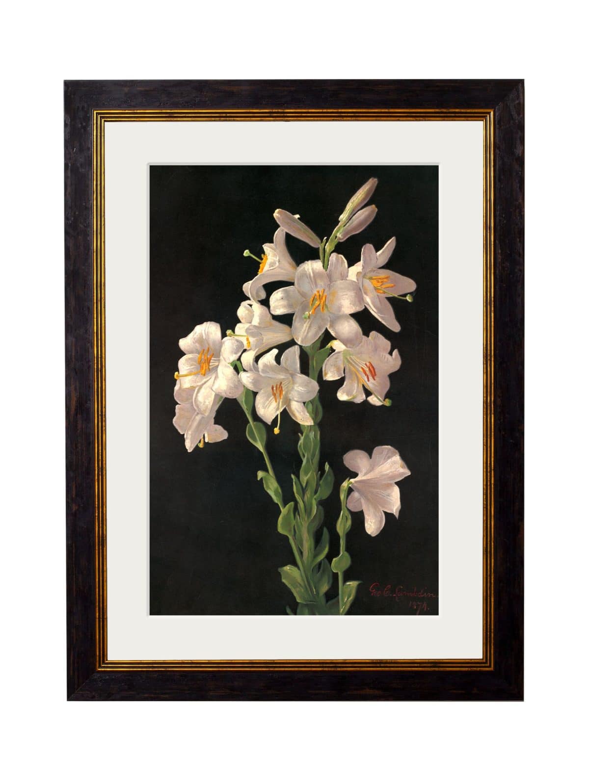 George Cochran Lambdin Lillys
