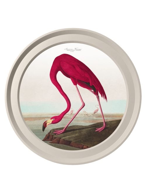 Audubon's Birds of America in Light Round Frames
