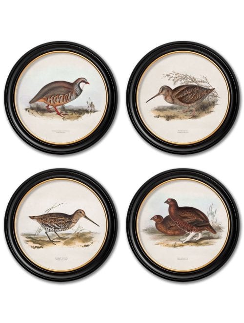 British Game Birds - Round
