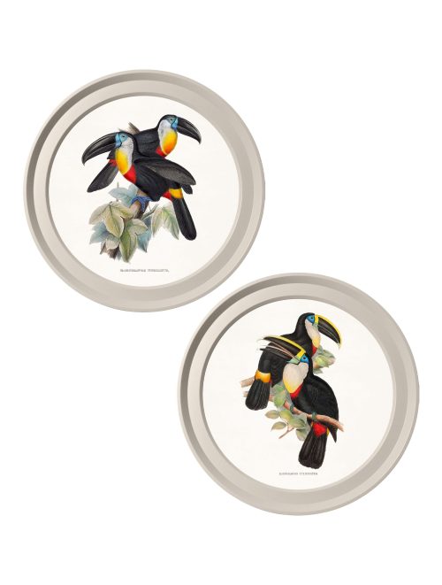 Toucans - Light Round Frames