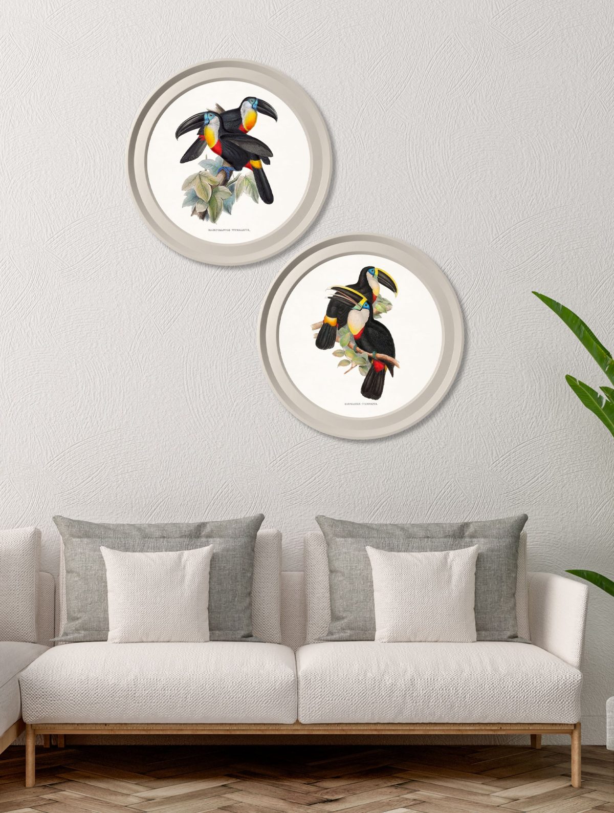 Toucans - Light Round Frames