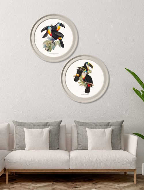 Toucans - Light Round Frames