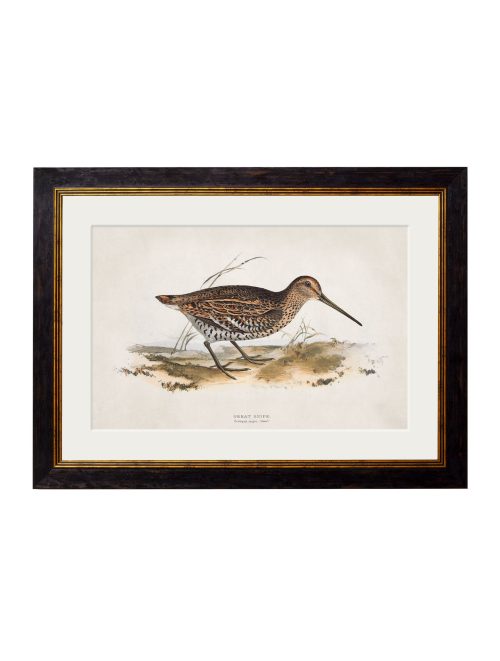 British Game Birds