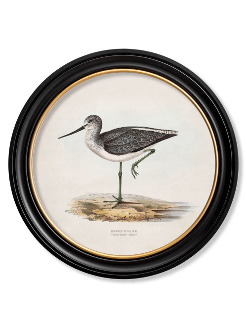 British Coastal Birds - Round