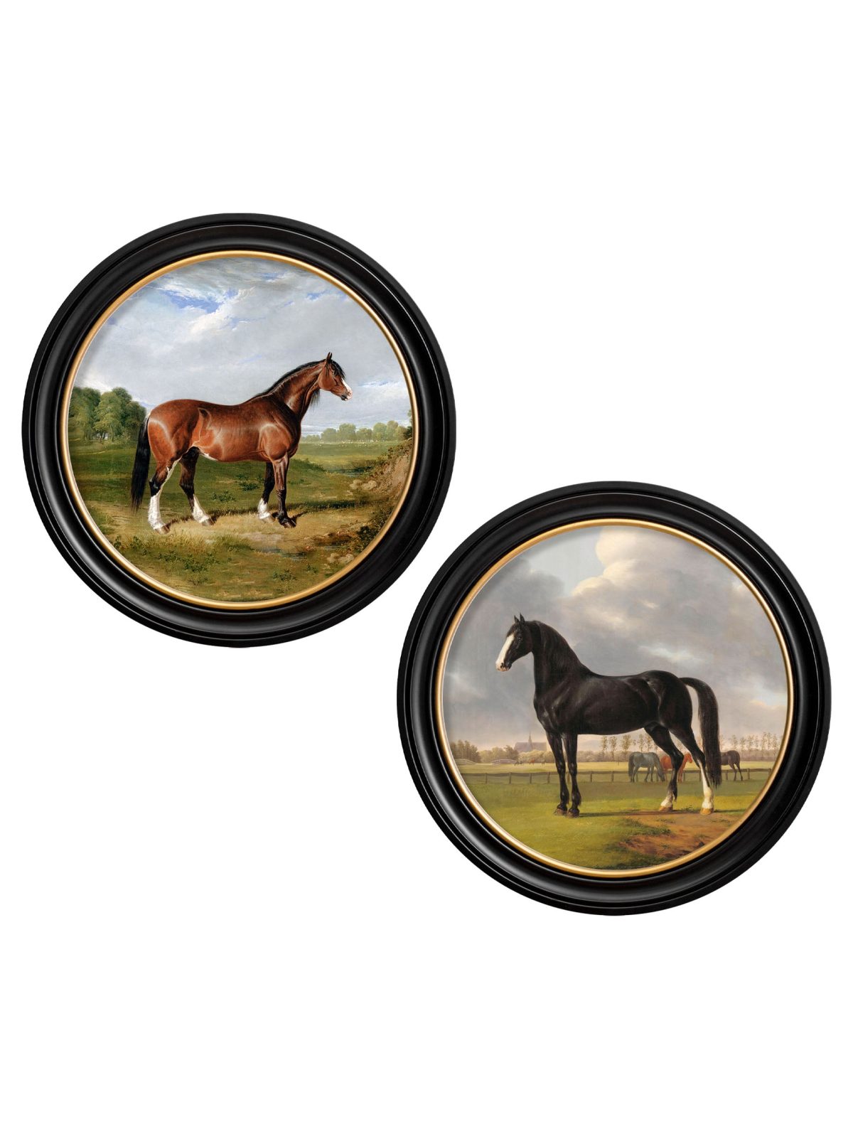 Horses - Round Frame