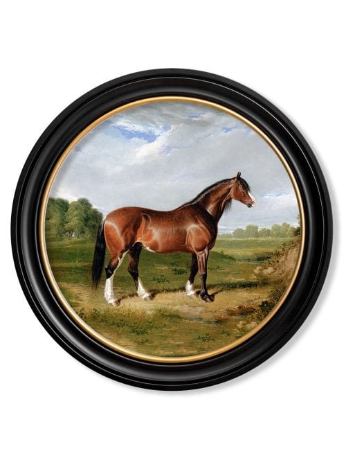 Horses - Round Frame