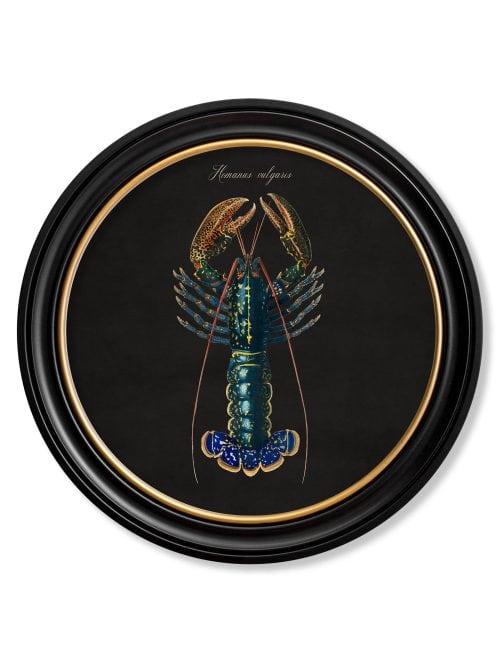 Marine Animals in Round Frames - Black