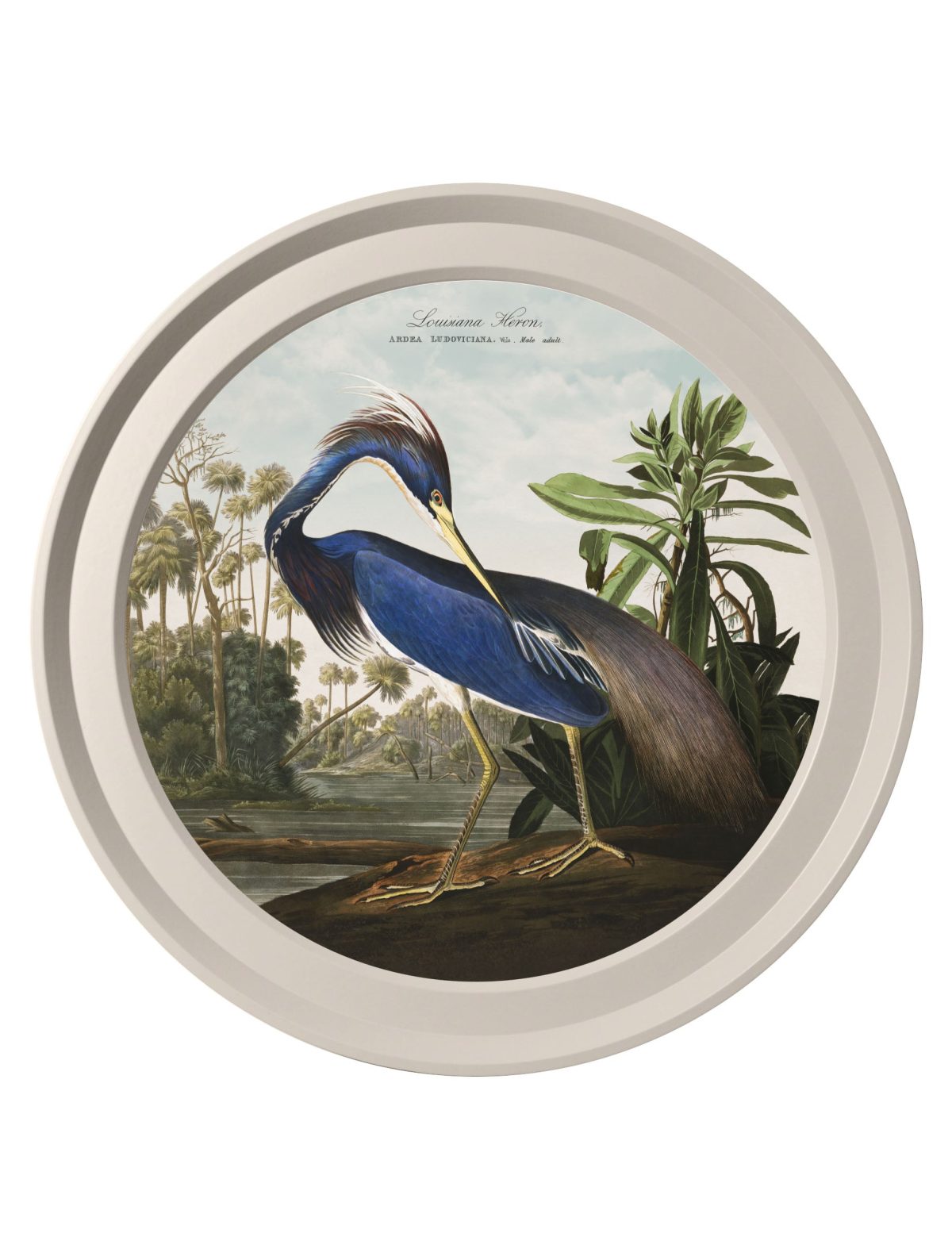 Audubon's Herons in Light Round Frames