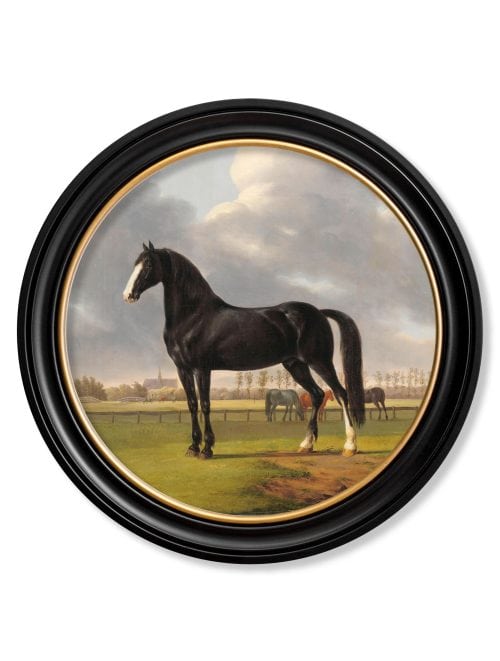 Horses - Round Frame