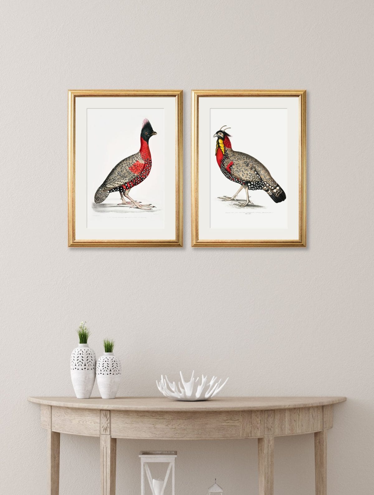 Black Headed Pheasants