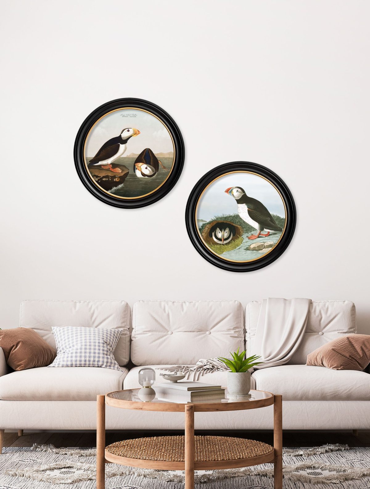 Audubon's Puffins - Round Frame
