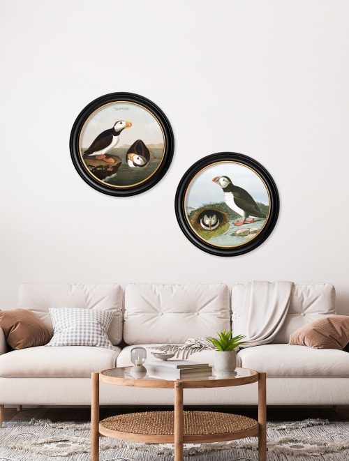 Audubon's Puffins - Round Frame