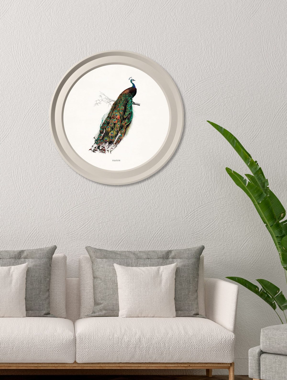 British Birds in Light Round Frames