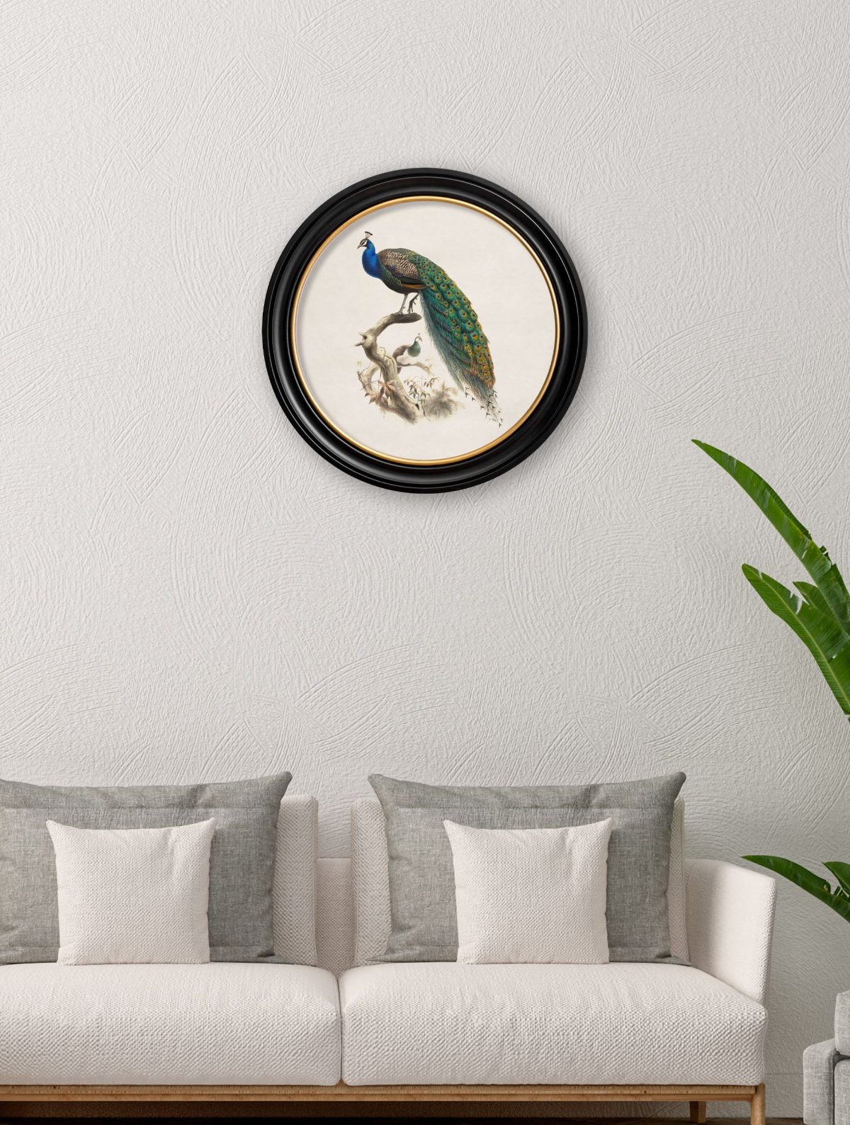 Peacock in Round Frame
