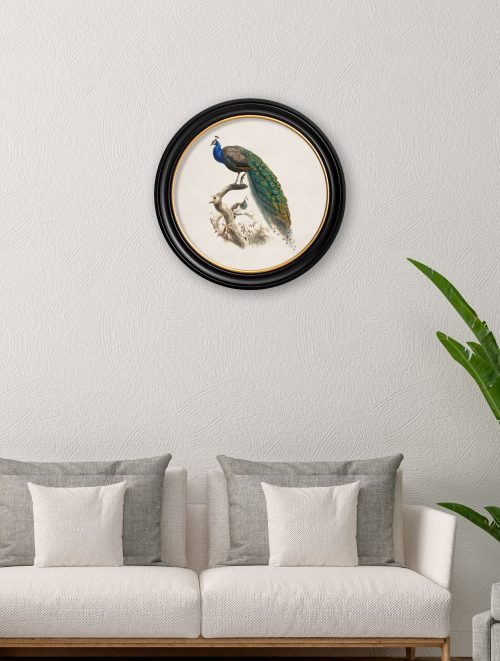 Peacock in Round Frame