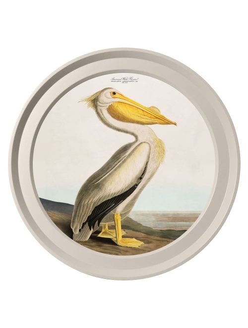 Audubon's Birds of America in Light Round Frames
